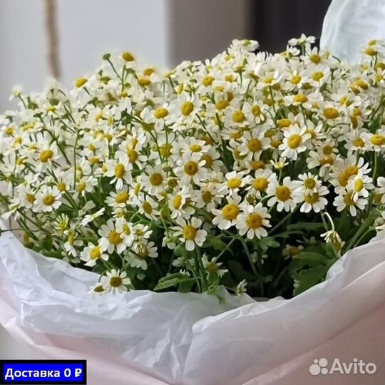 Ромашки для особых дней