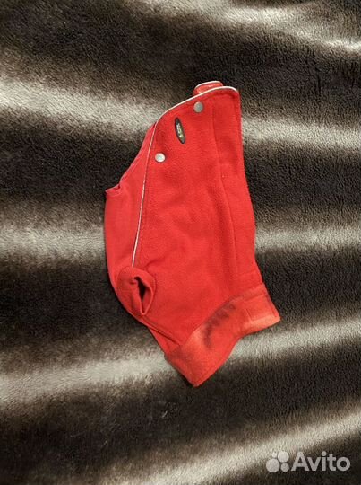 Одежда для собак