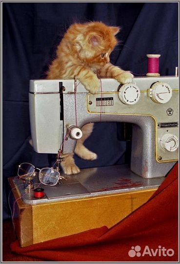 Мастер по ремонту и настройке швейных машин