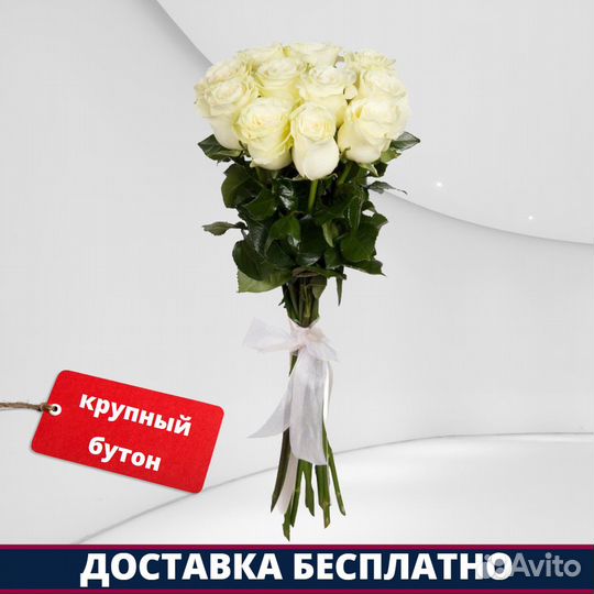 Розы Эквадор - 11 шт. 60 см