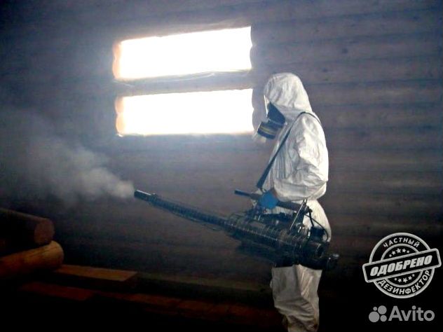 Уничтожение клопов тараканов дезинфекция плесени