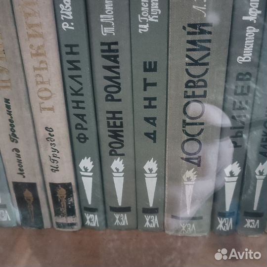 Книги серии Жизнь замечательных людей