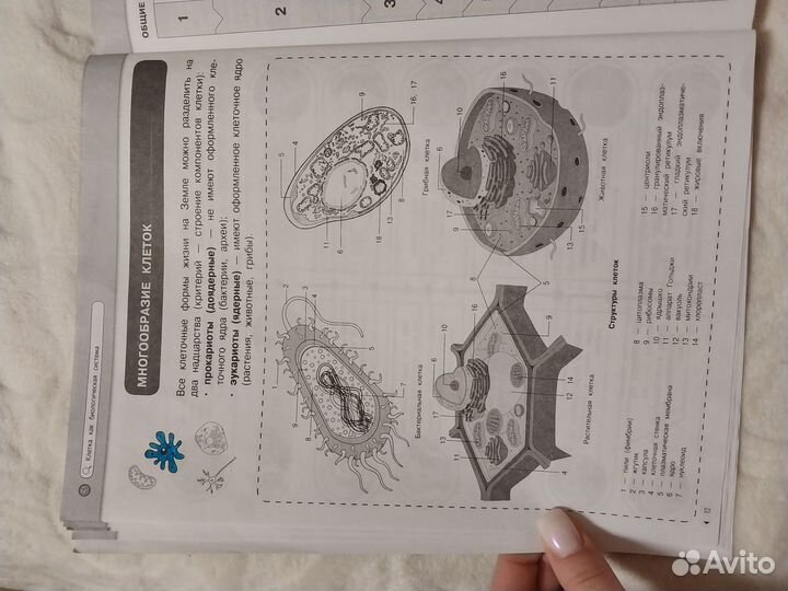 Биология. Вся теория для подготовки огэ и егэ