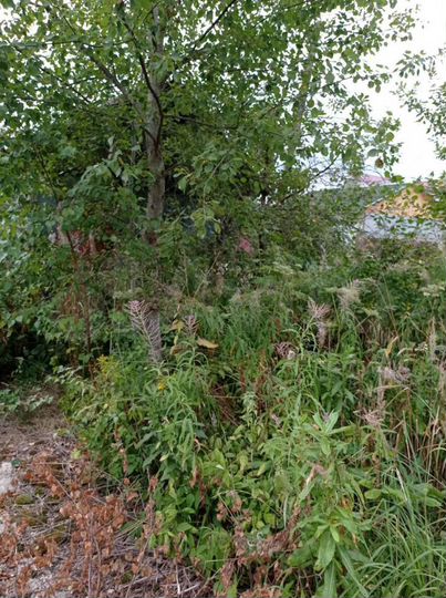 Участок 13 сот. (ИЖС)