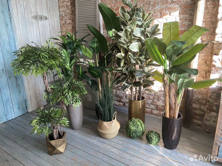 Искусственные деревья: Фикус, Пальма, Осока
