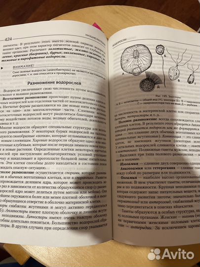 Биология для поступающих в вузы