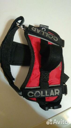 Шлея для небольшой собаки 