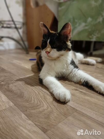 Дуся дочка Муси)