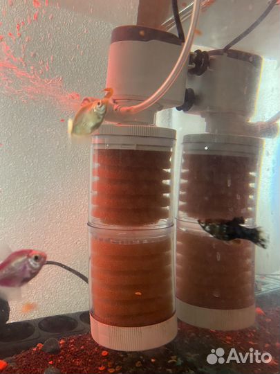 Аквариум с рыбками