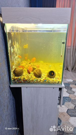 Аквариум с тумбой 250 литров
