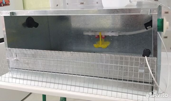 Брудер для цыплят