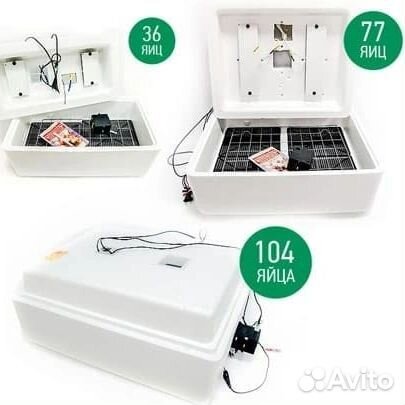 Инкубатор для яиц