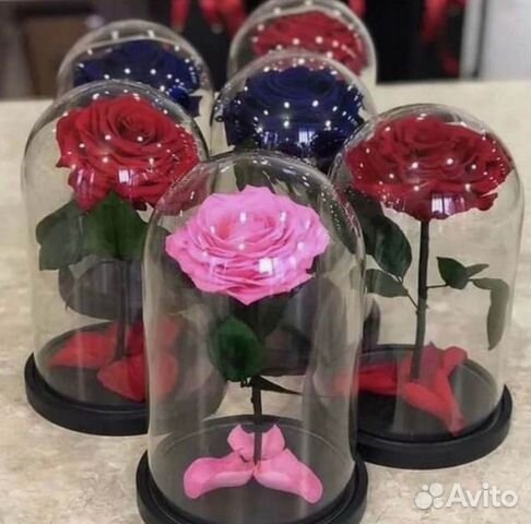 Роза в колбе