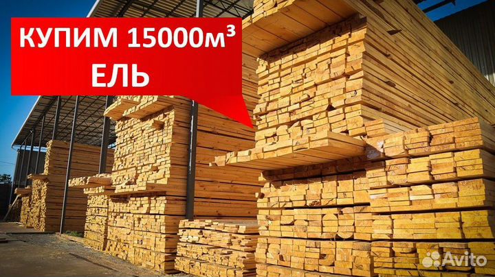 Купим- Доску трансп. влаж., объем 15000м3, в недел