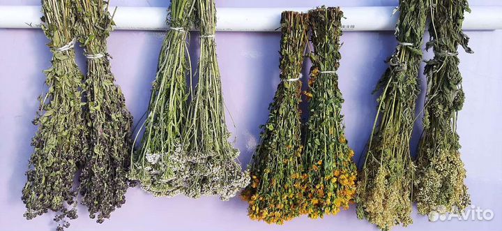 Веники для бани и травы