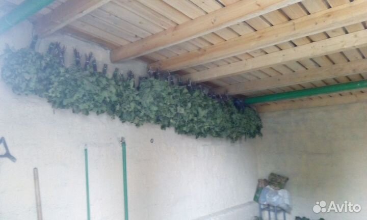 Веники для бани, дубовые 2023