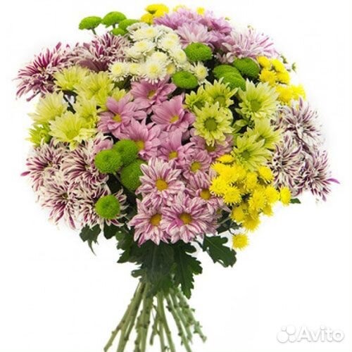 Букет из 21 хризантемы Йота