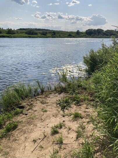 Участок 20 сот. (СНТ, ДНП)