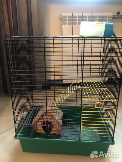 Клетка для хомяка бесплатно