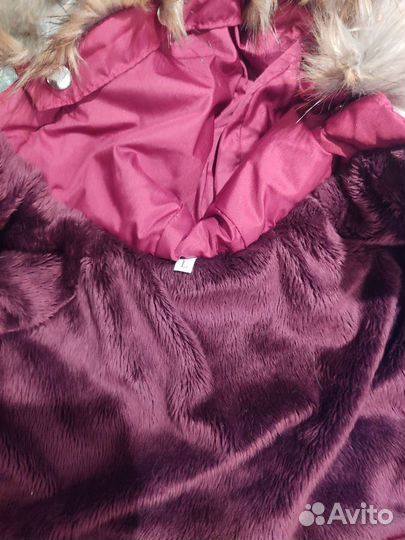 Куртка и дождевик для маленькой собачки