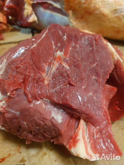 Мясо говядина