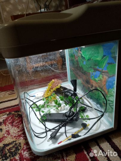 Аквариум