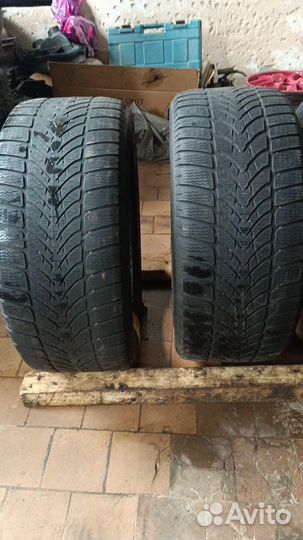 Dunlop All Season Maxx AS1 235/55 R19 и 335/50 R19
