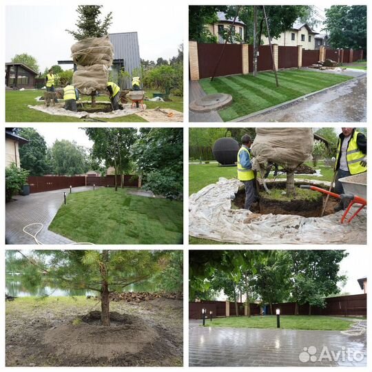 Фотограф/видеооператор