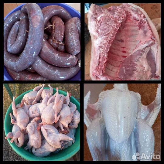 Домашнее мясо птицы