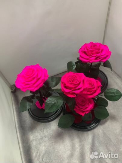 Роза в колбе оптом