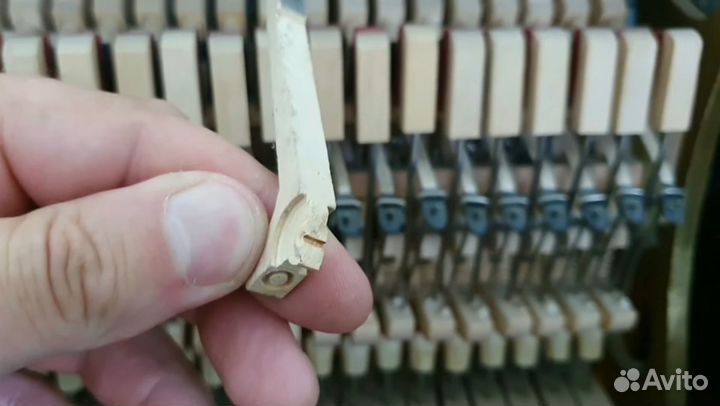 Ремонт и настройка музыкальных инструментов