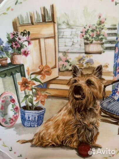 Тарелка Кен-терьер хочет поиграть Royal Albert Ltd