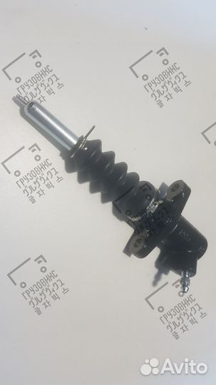 Рцс, seiken (Япония) SR-Z455