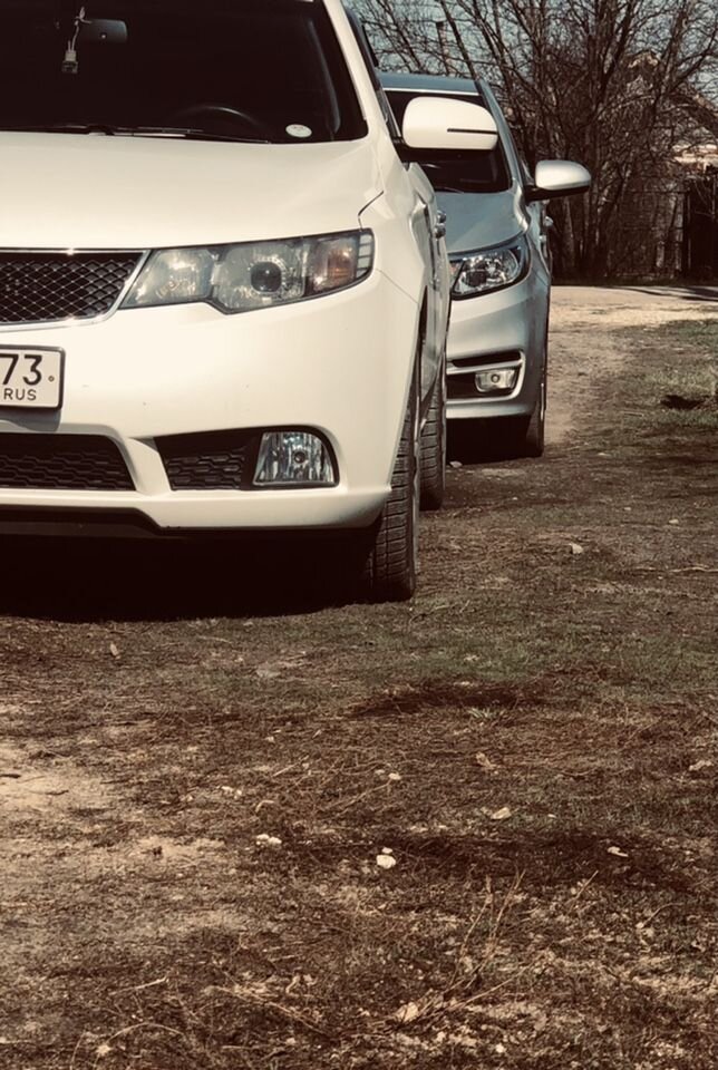 Kia Cerato: фото владельца