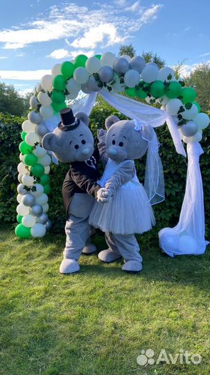 Экспресс поздравление от Мишки Тедди,аниматоры