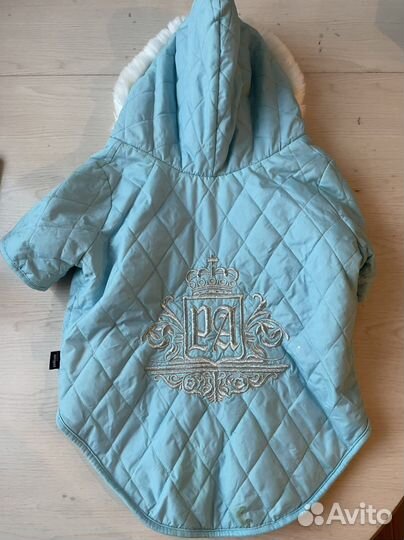 Одежда для собак