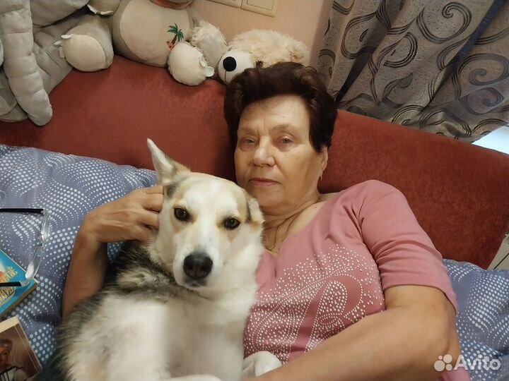 Зооняня. Выгул собак, передержка. Выгульщик