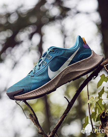 Nike pegasus trail 3