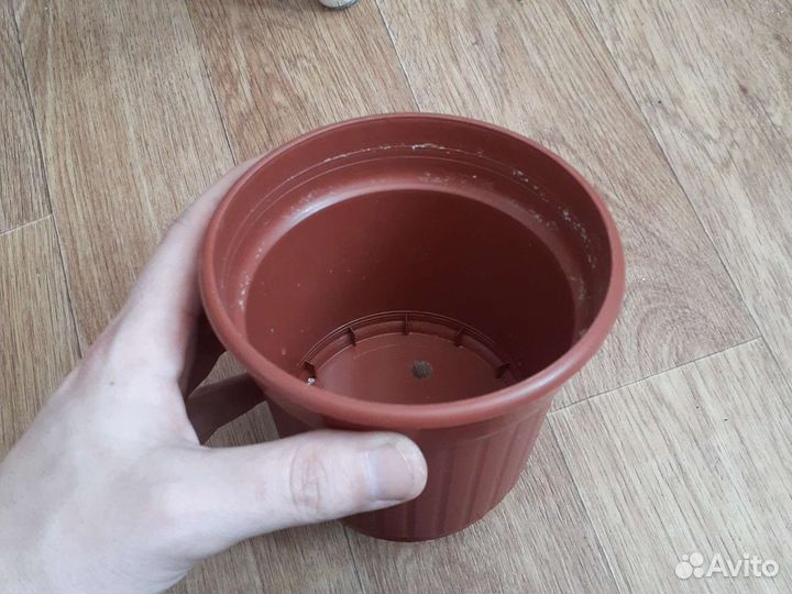 Кашпо для цветов / рассады цена за 5шт