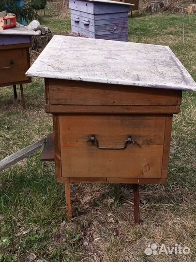 Пчелы и улья