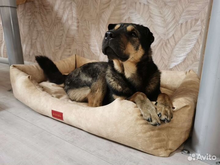 Лежанка для собак и кошек