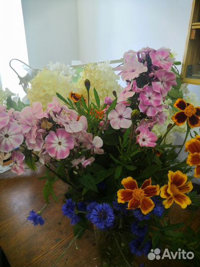 Гладиолусы и гортензии