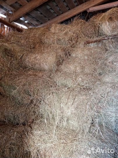 Сено в мини рулонах