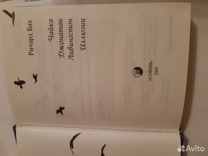 Ричард Бах Чайка Джонатан Ливингстон, Иллюзии