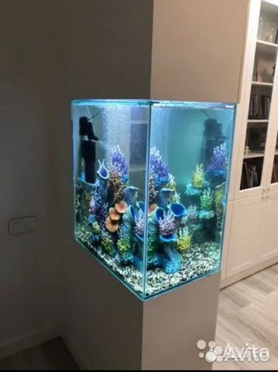 Аквариумы в наличии и на заказ