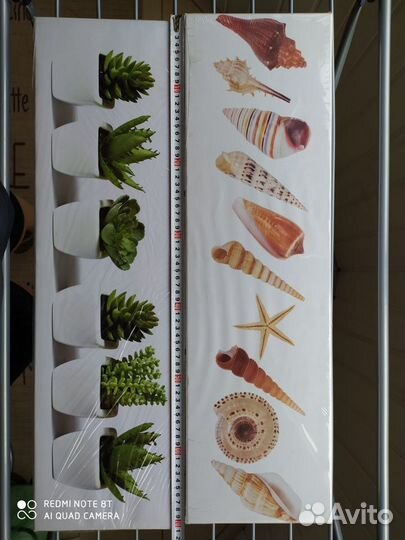 Постеры, 2 шт. Новые