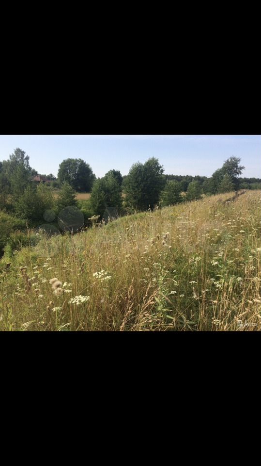 Участок 4 га (СНТ, ДНП)