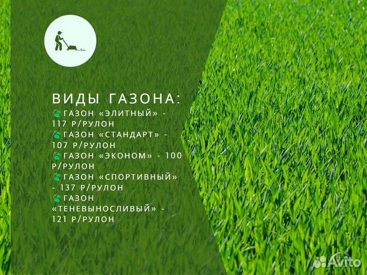 Продажа рулонного газона