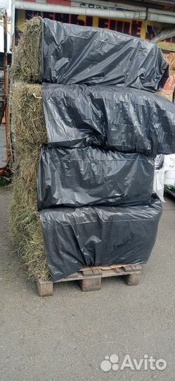 Сена солома