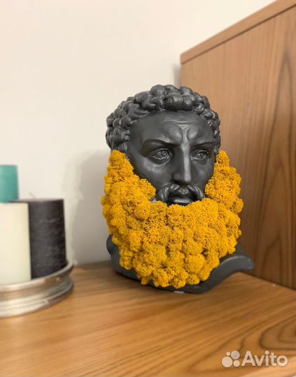 Кашпо со мхом